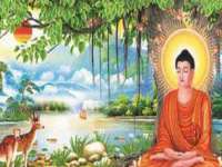 苏州英莱隔热材料有限公司